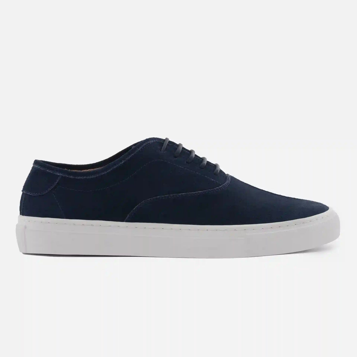 Conti Sneakers - Suede - Men's
