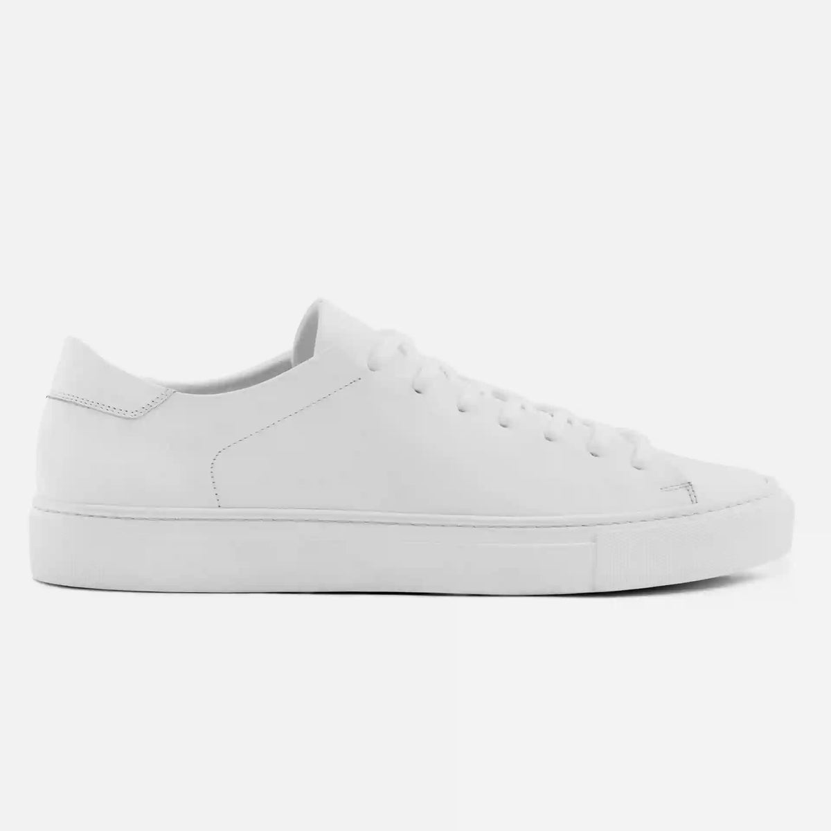 Reid Sneakers - Men's
